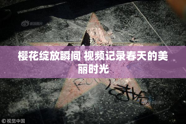 樱花绽放瞬间 视频记录春天的美丽时光