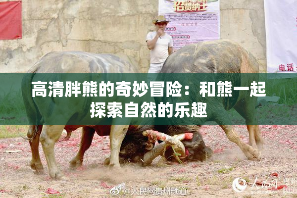 高清胖熊的奇妙冒险：和熊一起探索自然的乐趣