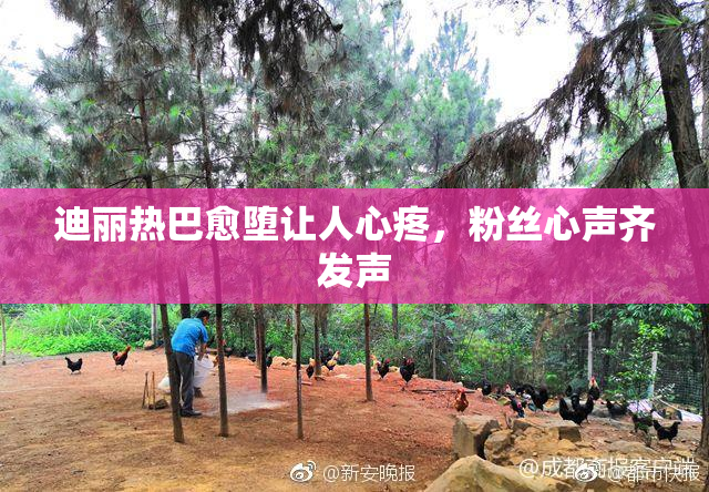 迪丽热巴愈堕让人心疼，粉丝心声齐发声