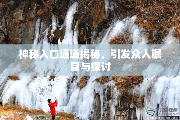 神秘入口通道揭秘，引发众人瞩目与探讨