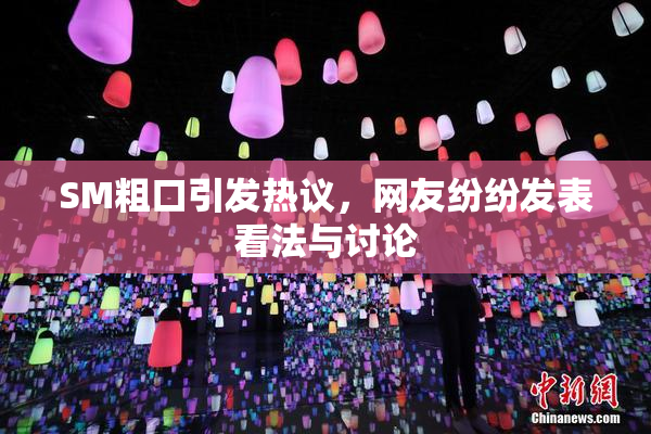 SM粗口引发热议，网友纷纷发表看法与讨论