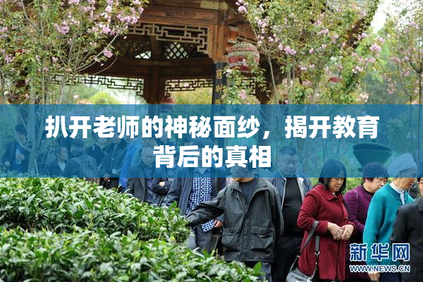 扒开老师的神秘面纱，揭开教育背后的真相