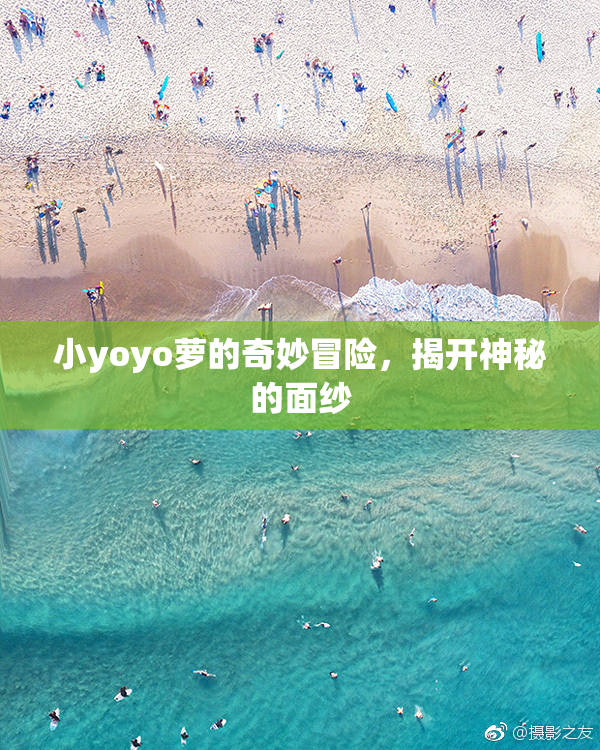 小yoyo萝的奇妙冒险，揭开神秘的面纱