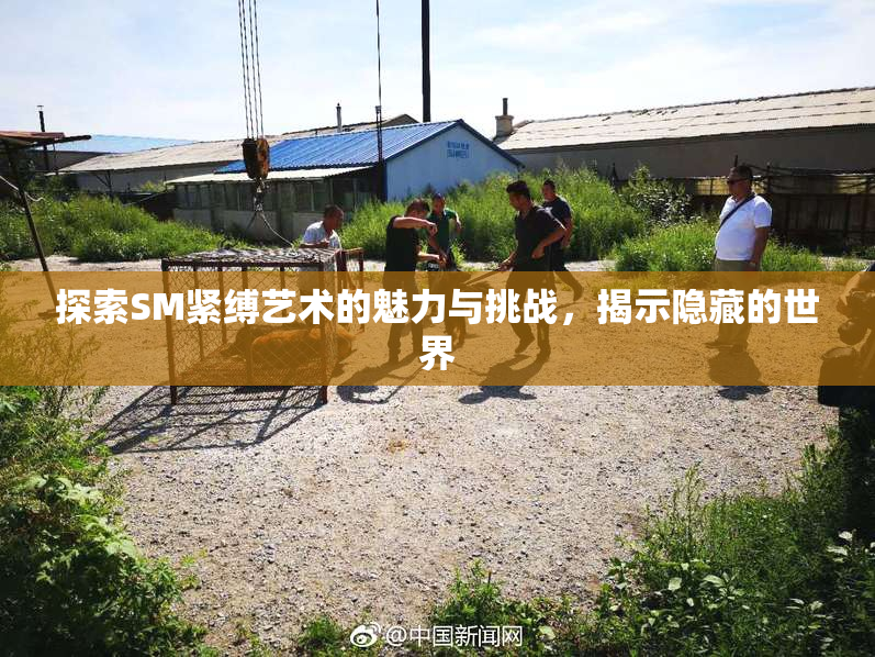 探索SM紧缚艺术的魅力与挑战，揭示隐藏的世界