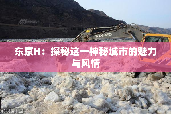 东京H：探秘这一神秘城市的魅力与风情