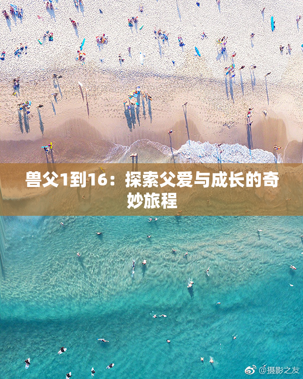 兽父1到16：探索父爱与成长的奇妙旅程