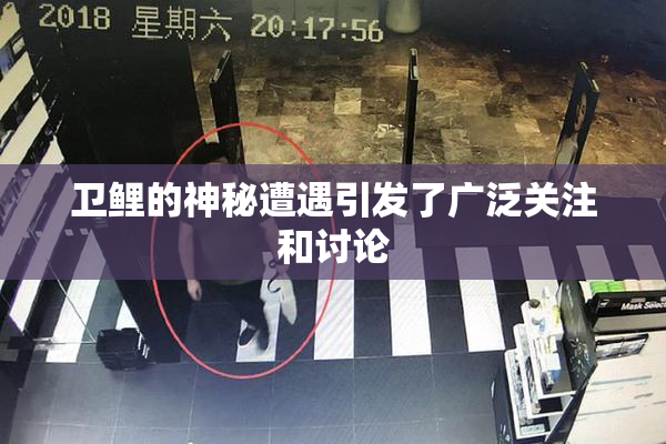 卫鲤的神秘遭遇引发了广泛关注和讨论