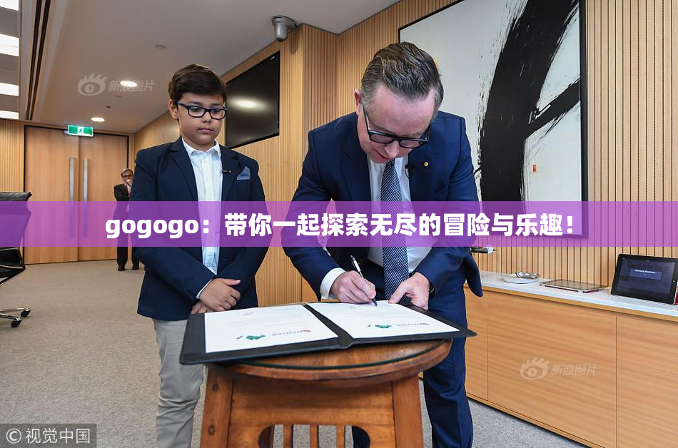gogogo：带你一起探索无尽的冒险与乐趣！