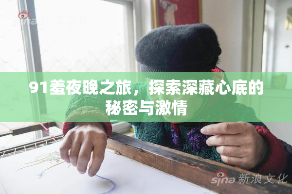 91羞夜晚之旅，探索深藏心底的秘密与激情