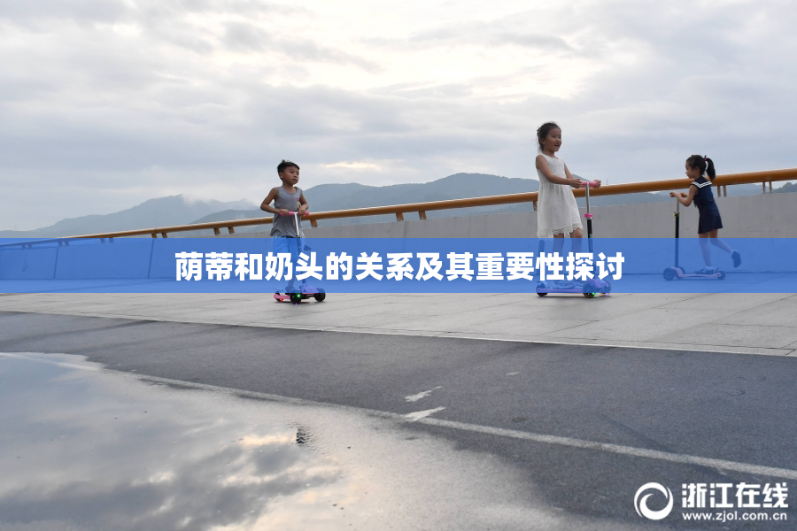 荫蒂和奶头的关系及其重要性探讨