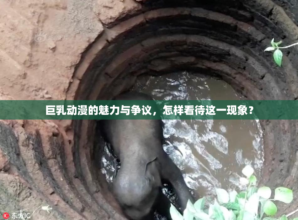 巨乳动漫的魅力与争议，怎样看待这一现象？