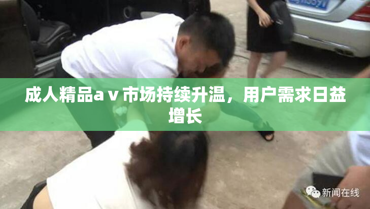 成人精品aⅴ市场持续升温，用户需求日益增长