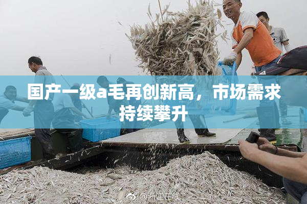 国产一级a毛再创新高，市场需求持续攀升