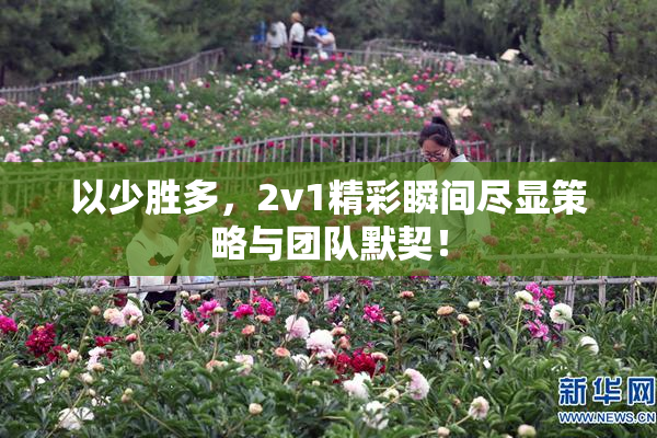 以少胜多，2v1精彩瞬间尽显策略与团队默契！