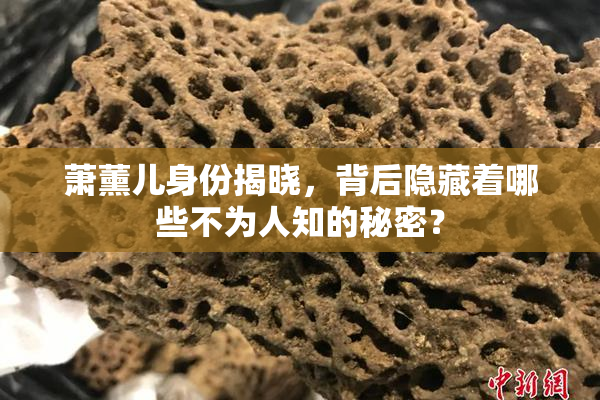 萧薰儿身份揭晓，背后隐藏着哪些不为人知的秘密？
