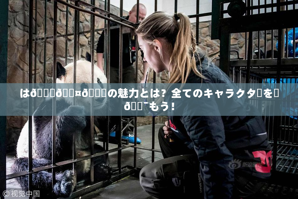 は🍑🖤🌃の魅力とは？全てのキャラクターを楽🔯もう！