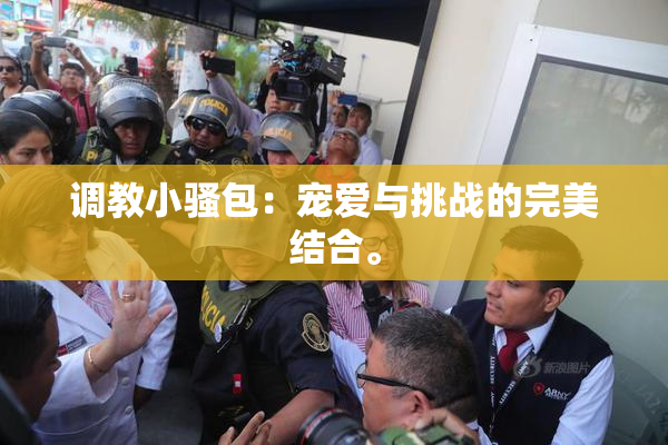 调教小骚包：宠爱与挑战的完美结合。