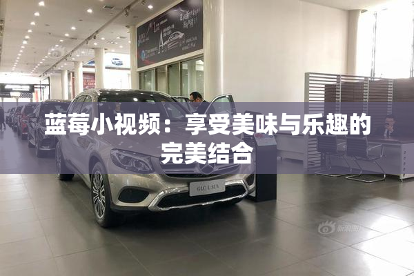 蓝莓小视频：享受美味与乐趣的完美结合