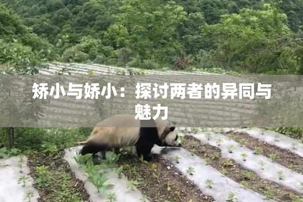 矫小与娇小：探讨两者的异同与魅力