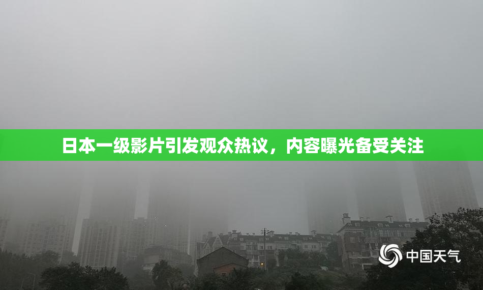 日本一级影片引发观众热议，内容曝光备受关注