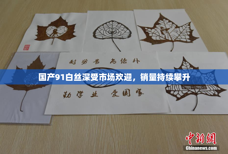 国产91白丝深受市场欢迎，销量持续攀升