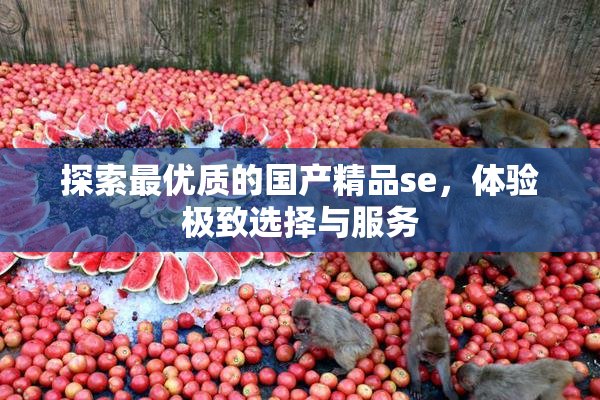 探索最优质的国产精品se，体验极致选择与服务