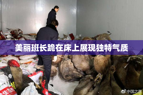 美丽班长跪在床上展现独特气质