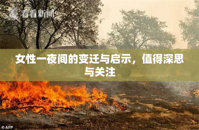 女性一夜间的变迁与启示，值得深思与关注