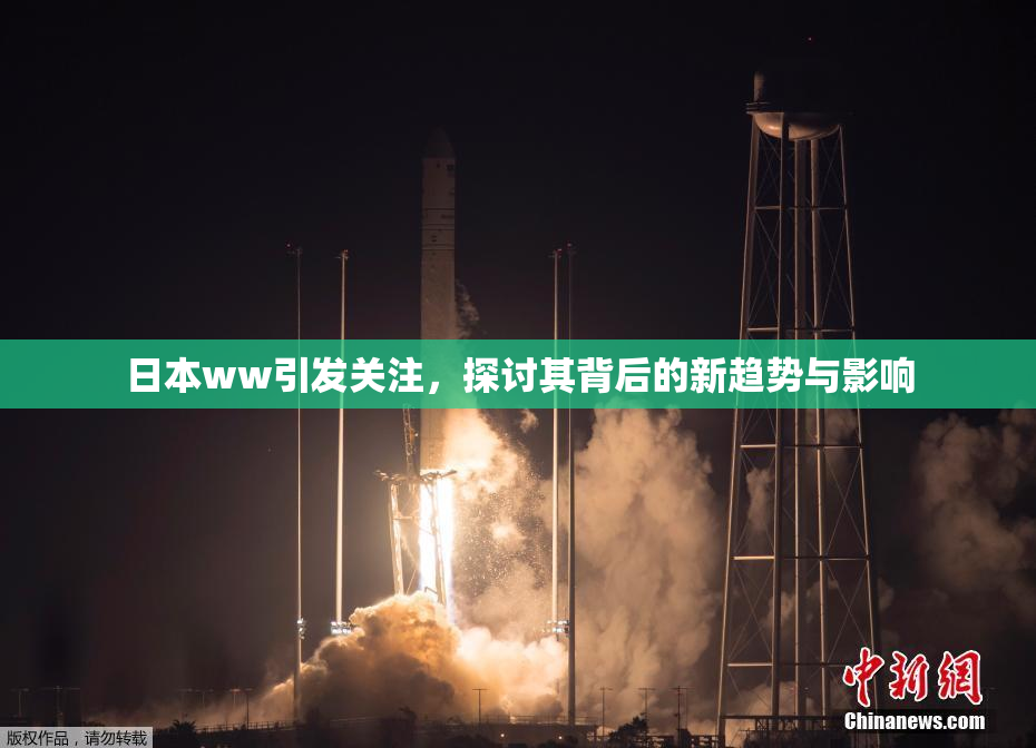 日本ww引发关注，探讨其背后的新趋势与影响