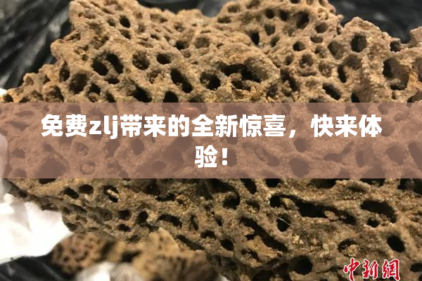 免费zlj带来的全新惊喜，快来体验！