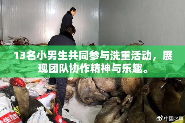 13名小男生共同参与洗重活动，展现团队协作精神与乐趣。