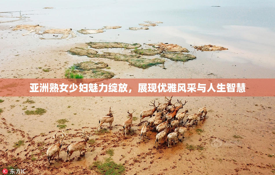 亚洲熟女少妇魅力绽放，展现优雅风采与人生智慧
