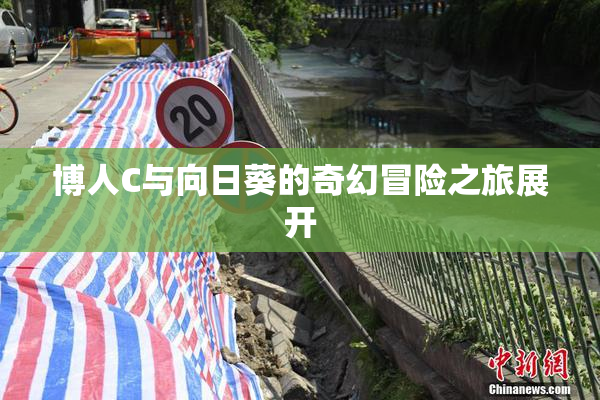 博人C与向日葵的奇幻冒险之旅展开