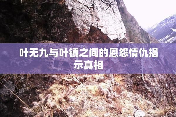 叶无九与叶镇之间的恩怨情仇揭示真相