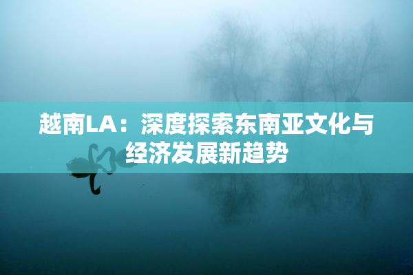 越南LA：深度探索东南亚文化与经济发展新趋势