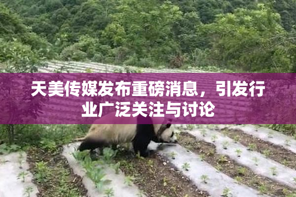天美传媒发布重磅消息，引发行业广泛关注与讨论