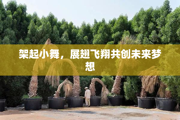 架起小舞，展翅飞翔共创未来梦想