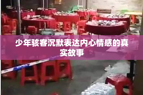 少年骇客沉默表达内心情感的真实故事