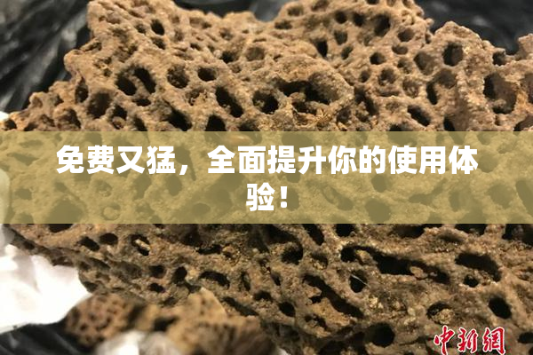 免费又猛，全面提升你的使用体验！