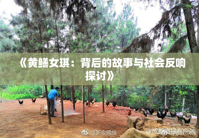 《黄鳝女琪：背后的故事与社会反响探讨》