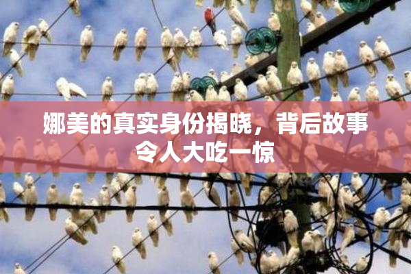 娜美的真实身份揭晓，背后故事令人大吃一惊