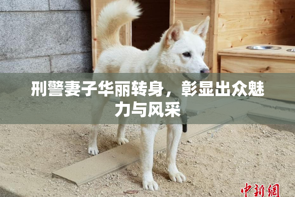 刑警妻子华丽转身，彰显出众魅力与风采