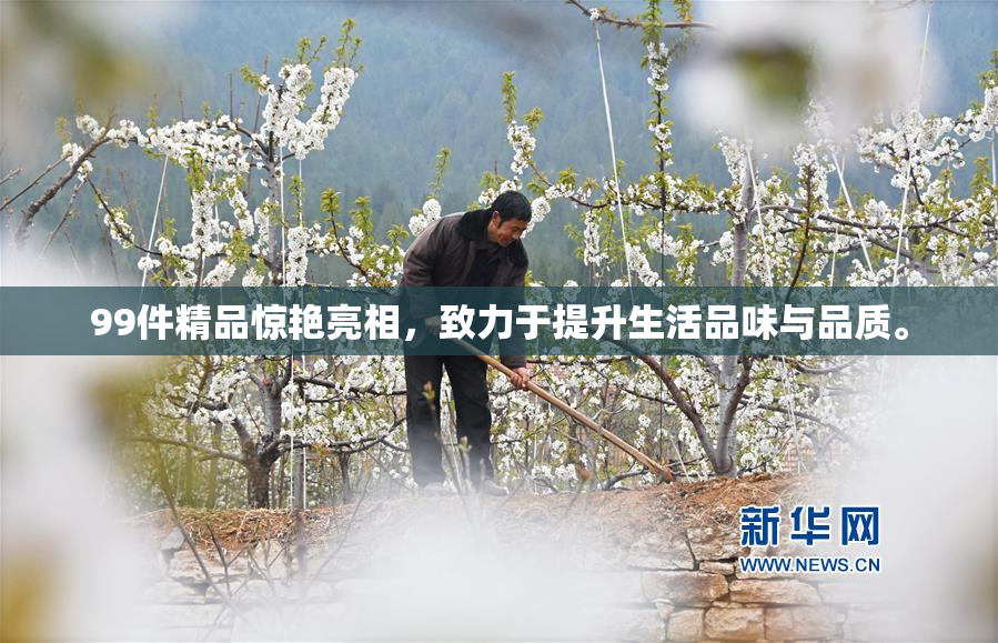 99件精品惊艳亮相，致力于提升生活品味与品质。