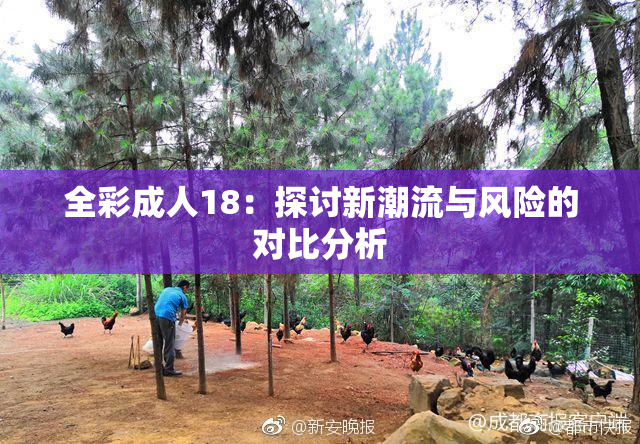 全彩成人18：探讨新潮流与风险的对比分析