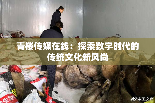 青楼传媒在线：探索数字时代的传统文化新风尚