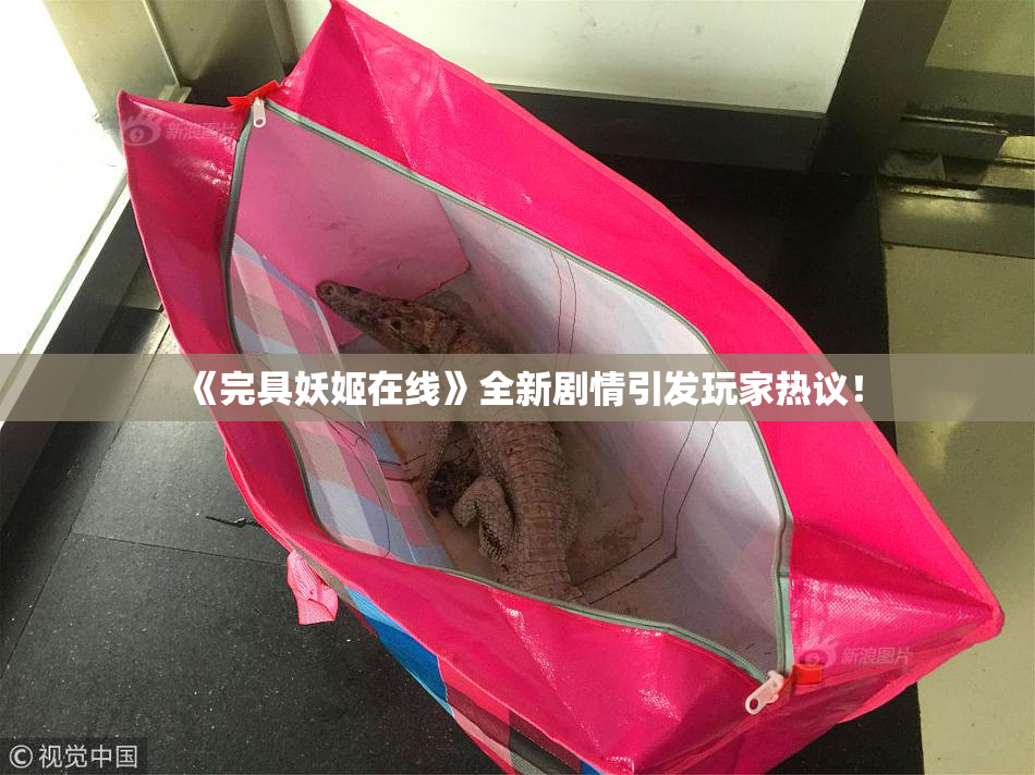 《完具妖姬在线》全新剧情引发玩家热议！