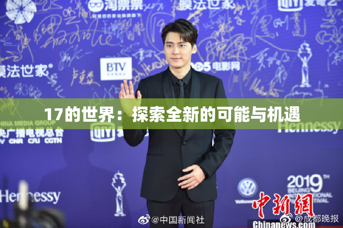 17的世界：探索全新的可能与机遇