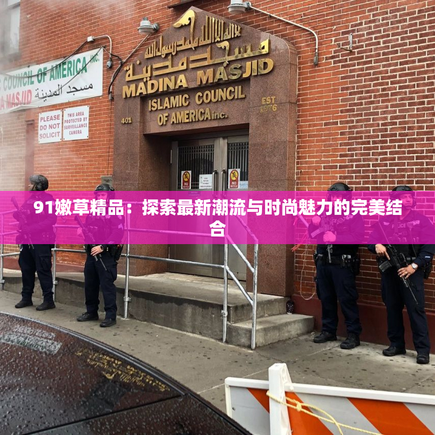 91嫩草精品：探索最新潮流与时尚魅力的完美结合