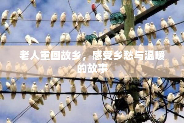 老人重回故乡，感受乡愁与温暖的故事