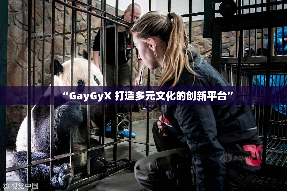 “GayGyX 打造多元文化的创新平台”